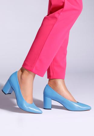 Pantofi damă din piele clasici din piele cu toc pătrat, albastru, 96-D-501-7-36, Fotografie 1