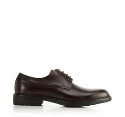 Herren-Derby-Schuhe aus Leder, braun, 96-M-500-4-44, Bild 1