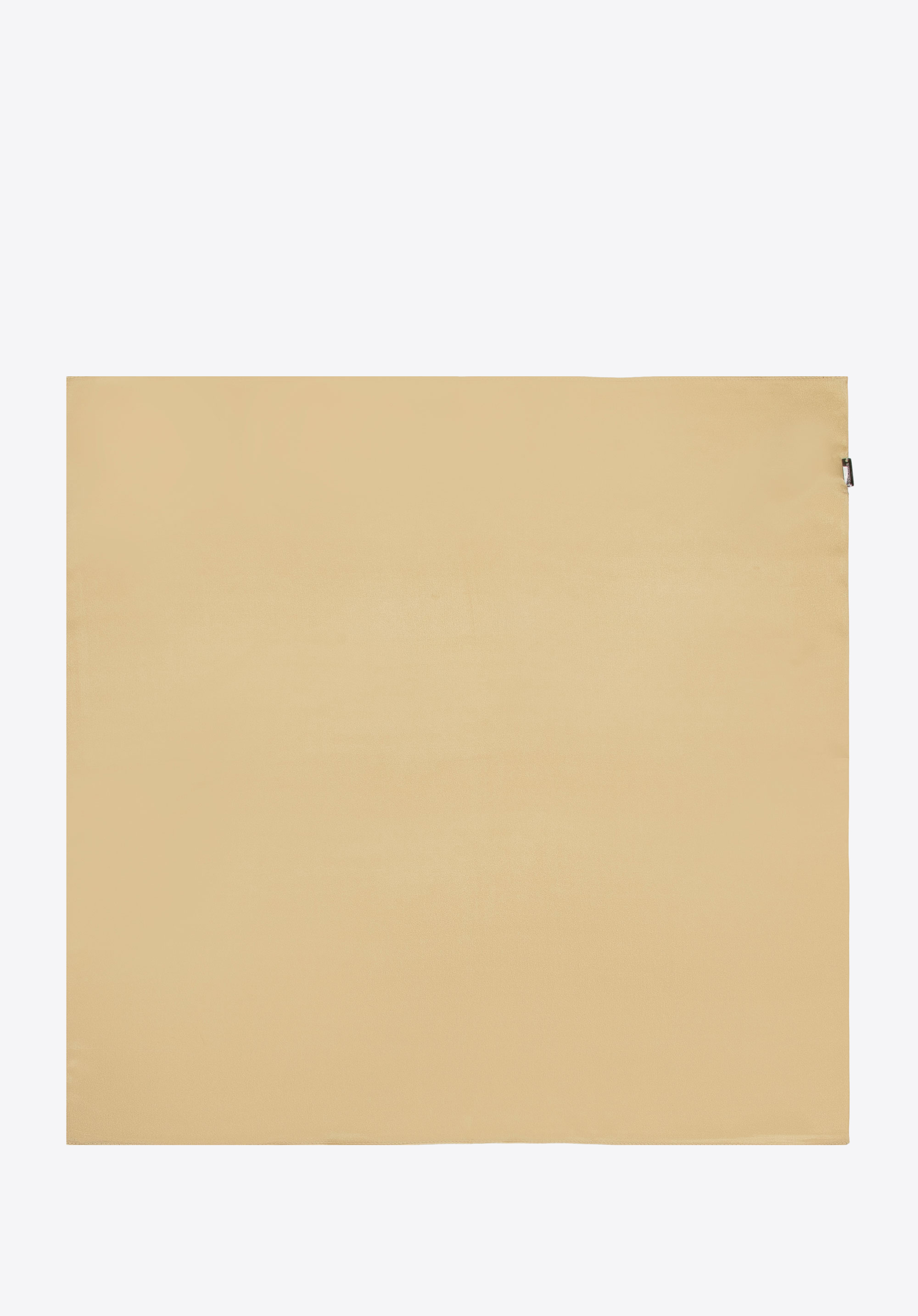 Seidentuch für Damen, gold, 95-7D-S01-4, Bild 1