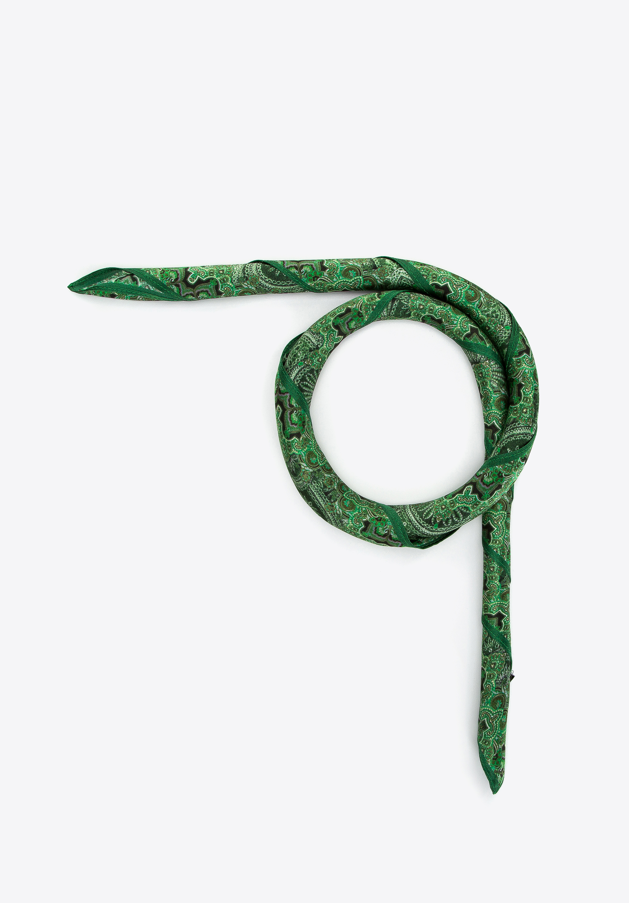 Großer gemusterter Seidenschal für Damen, grün, 97-7D-S02-X9, Bild 1