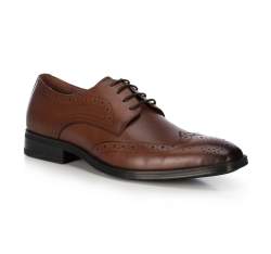 Мужские кожаные туфли, коричневый, 91-M-904-4-41, Фотография 1