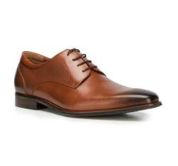 Обувь мужская, коричневый, 90-M-911-4-45, Фотография 1