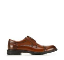 Pantofi bărbați Derby clasic din piele, maro, 96-M-504-5-43, Fotografie 1