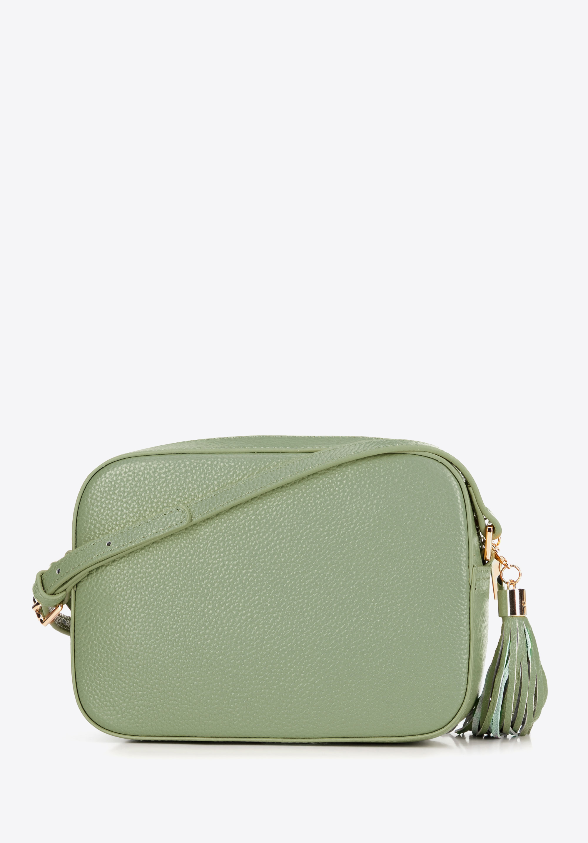 Kožená crossbody kabelka ve tvaru krabice, pistáciová, 29-4E-014-ZZ, Obrázek 1