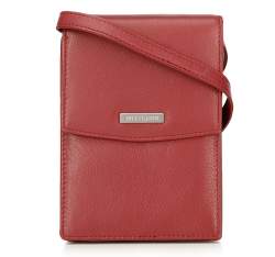 Mini geantă de mână crossbody 2 în 1 din piele, roșu, 26-2-100-3, Fotografie 1
