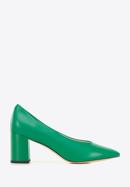 Pantofi damă din piele clasici din piele cu toc pătrat, verde, 96-D-501-6-36, Fotografie 1