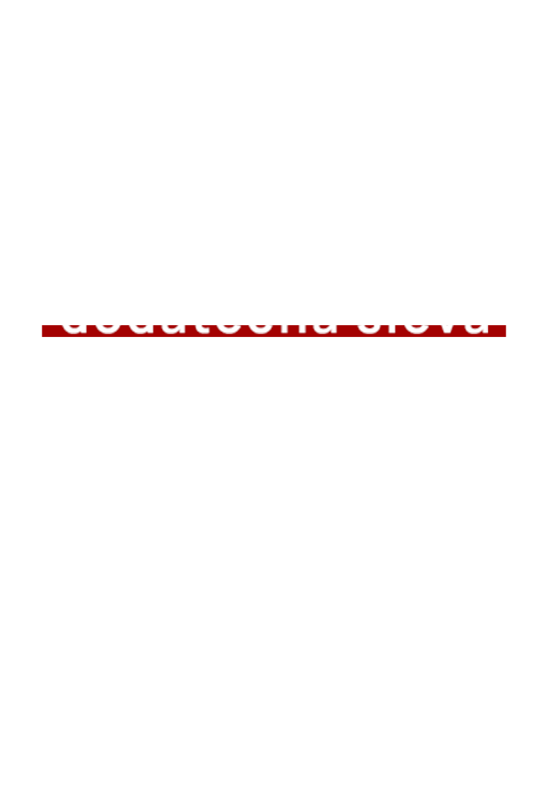Clothing  |  Shoes  |  Bags