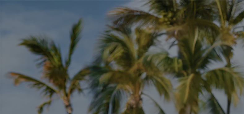 summer deals