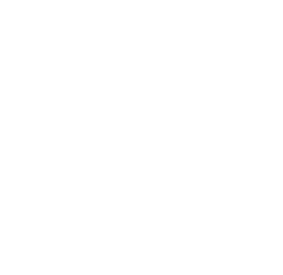 WITTCHEN DAYS az -70%