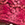 рожевий - Жіноча подвійна шкіряна сумка з гаманцем на ланцюжку - 29-4E-011-3