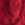 темно-червоний - Жіночі велюрові рукавички - 44-6A-017-3