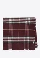 Men's fringe scarf, plum, 91-7M-X02-2, Photo 1