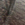 темно коричневий - Чоловічі шкіряні мокасини з декоративною обробкою - 97-M-516-4