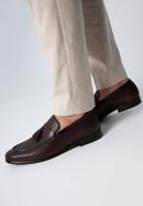 Men's leather tassel loafers, brown, 98-M-709-1-41, Photo 15