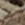 хакі - Чоловічі кросівки з веганської шкіри зі вставкою lizard - 93-M-301-Z