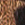 коричневий - Сумка-шоппер з декоративною вставкою у тваринний візерунок - 95-2Y-531-4